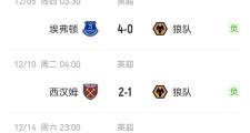  贝林厄姆转会 