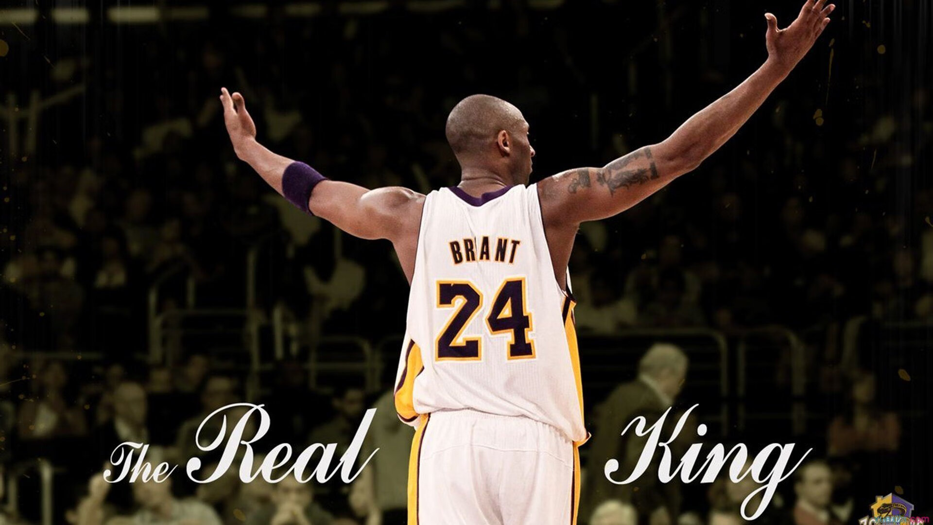 詹姆斯迎来三赛季高光表现，塞尔维亚队球迷沸腾！